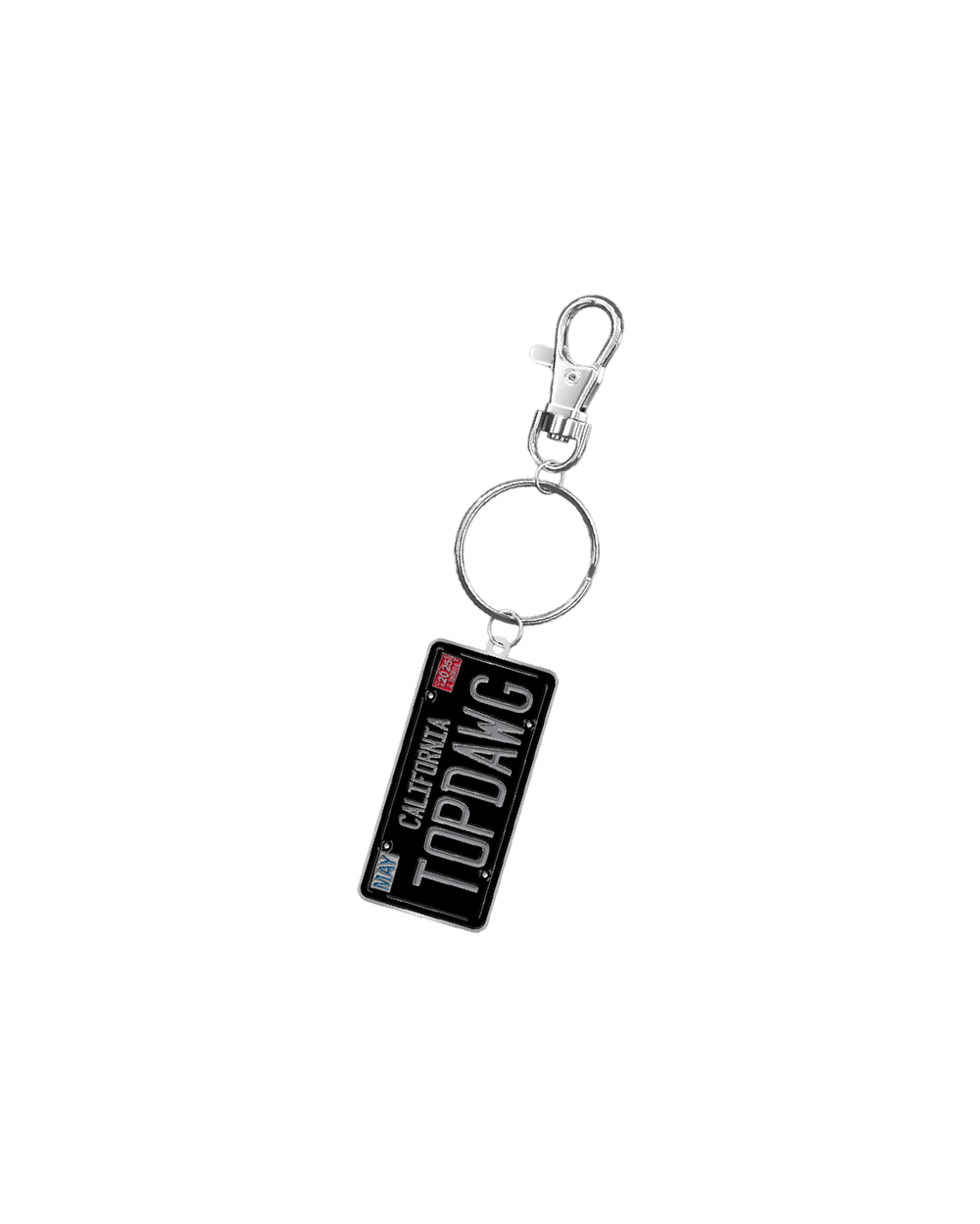 License Plate Keychain