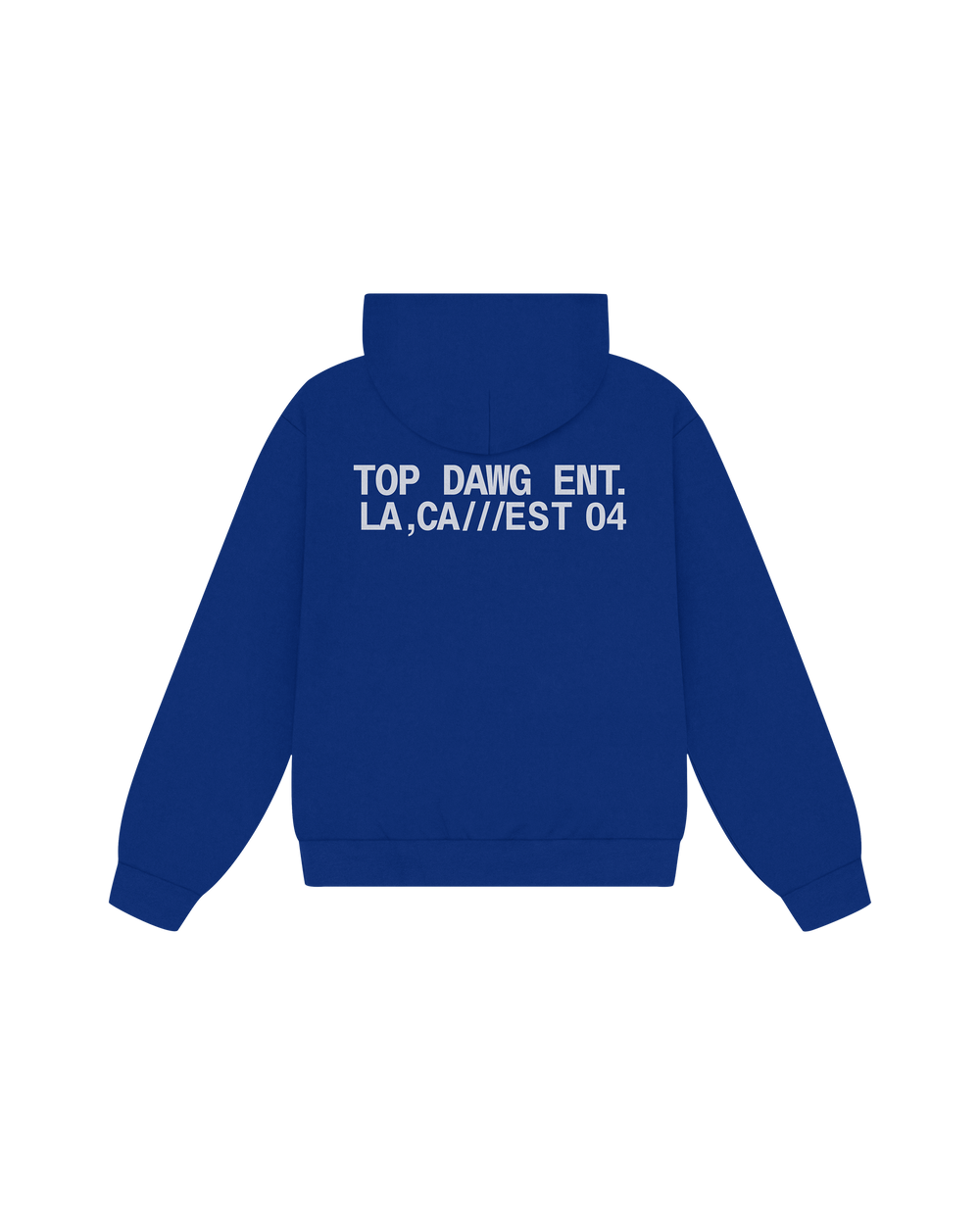 Establish Hoodie (Blue)