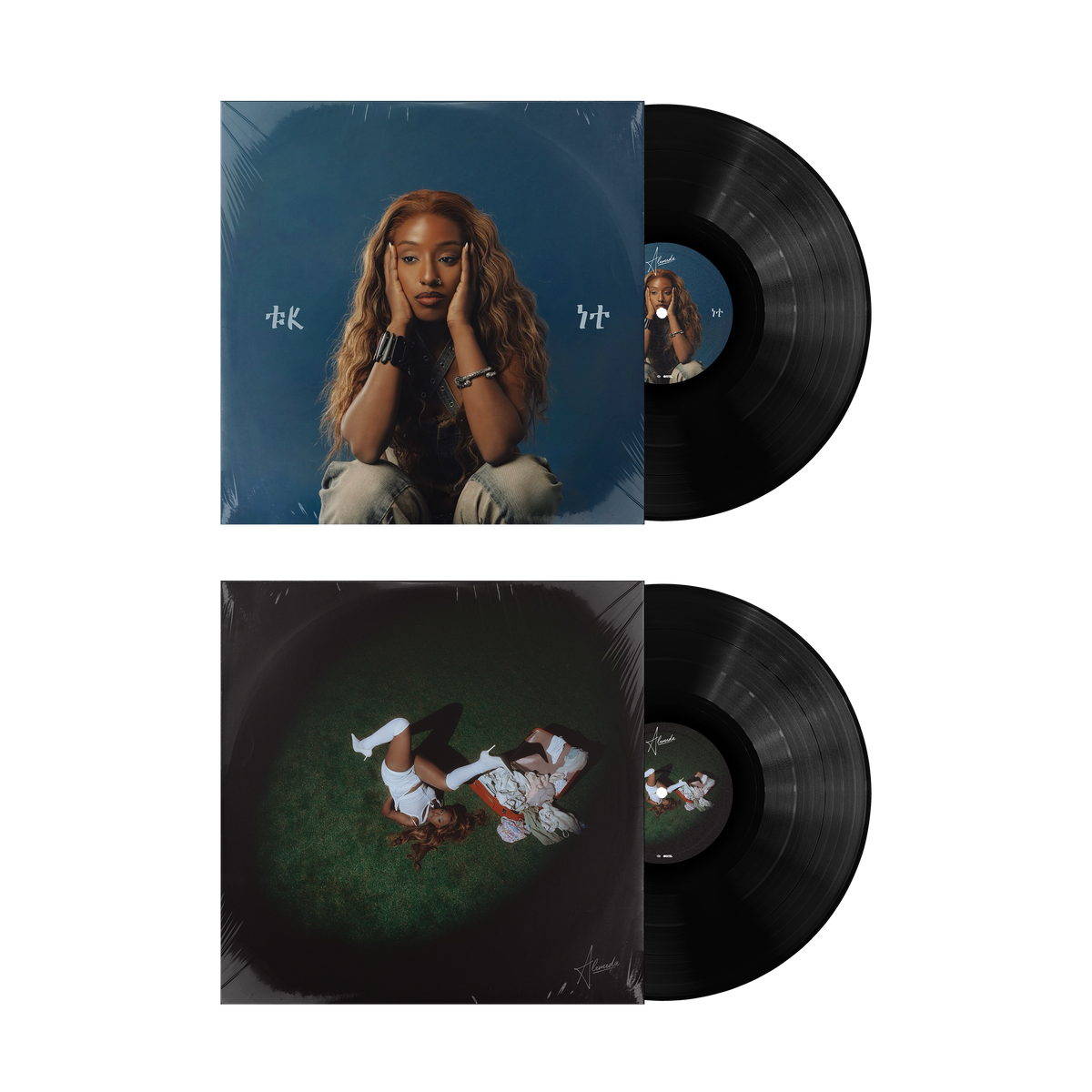 ALEMEDA - Dual EP 'FK IT' & ' But What The Hell Do I know' Combined Vinyl [PRE-ORDER]