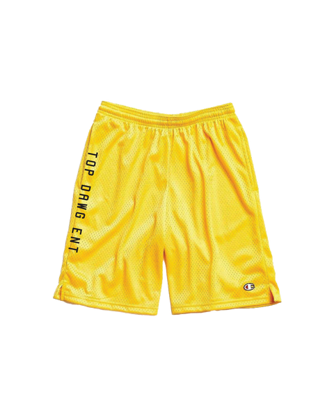 Champion all over print shorts on sale