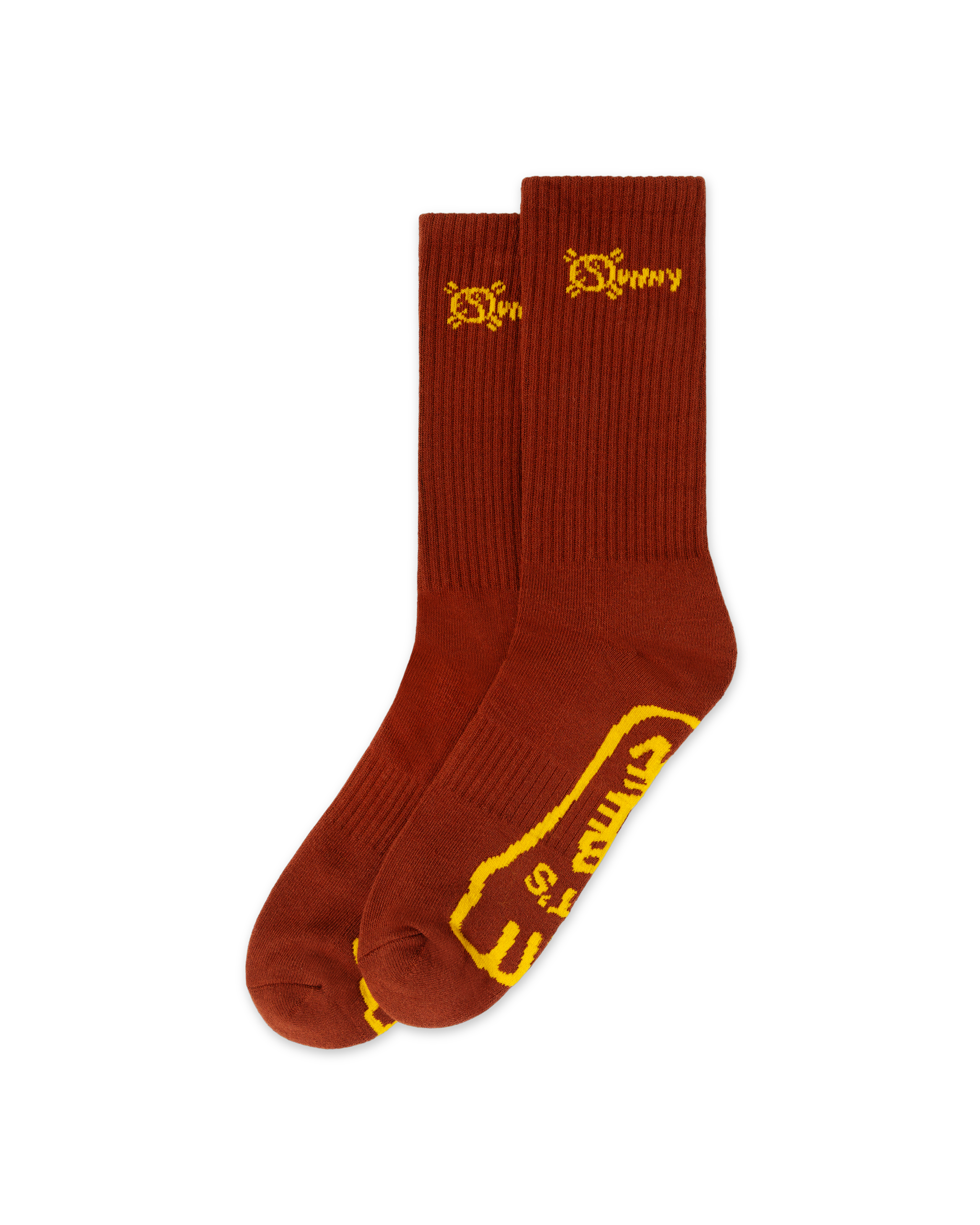 Isaiah Rashad - Sunny Socks – Top Dawg Entertainment