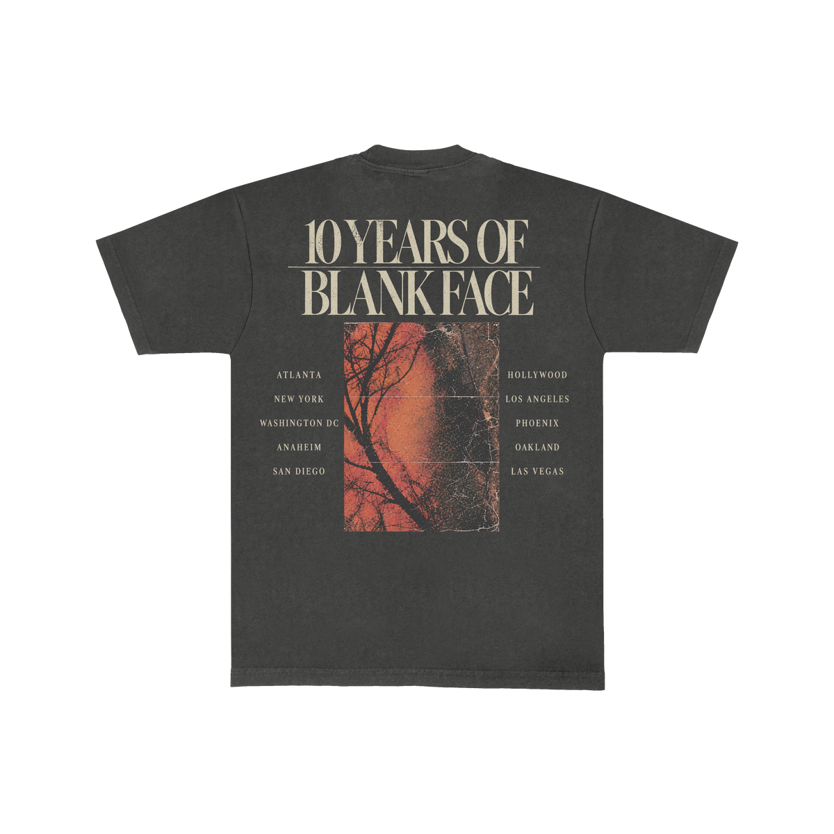 ScHoolboy Q - 10 Year Face T-Shirt